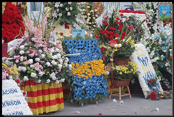 047Pilar2005_ 260.jpg